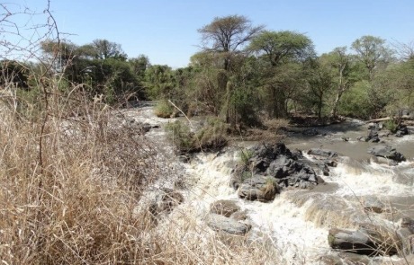 Rondreis Ethiopië oost Harar
